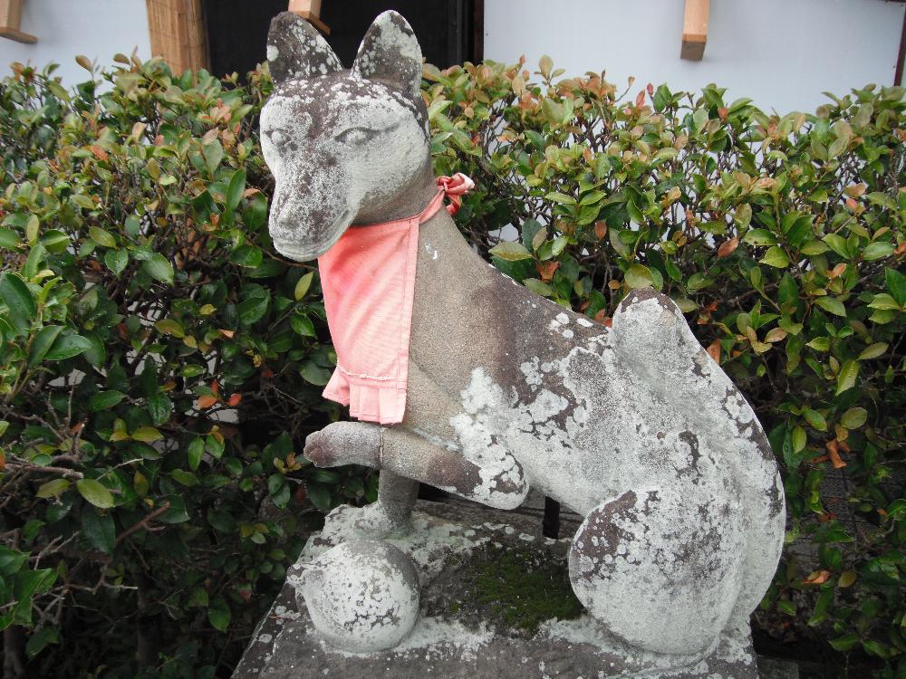 kurumiinari18.jpg