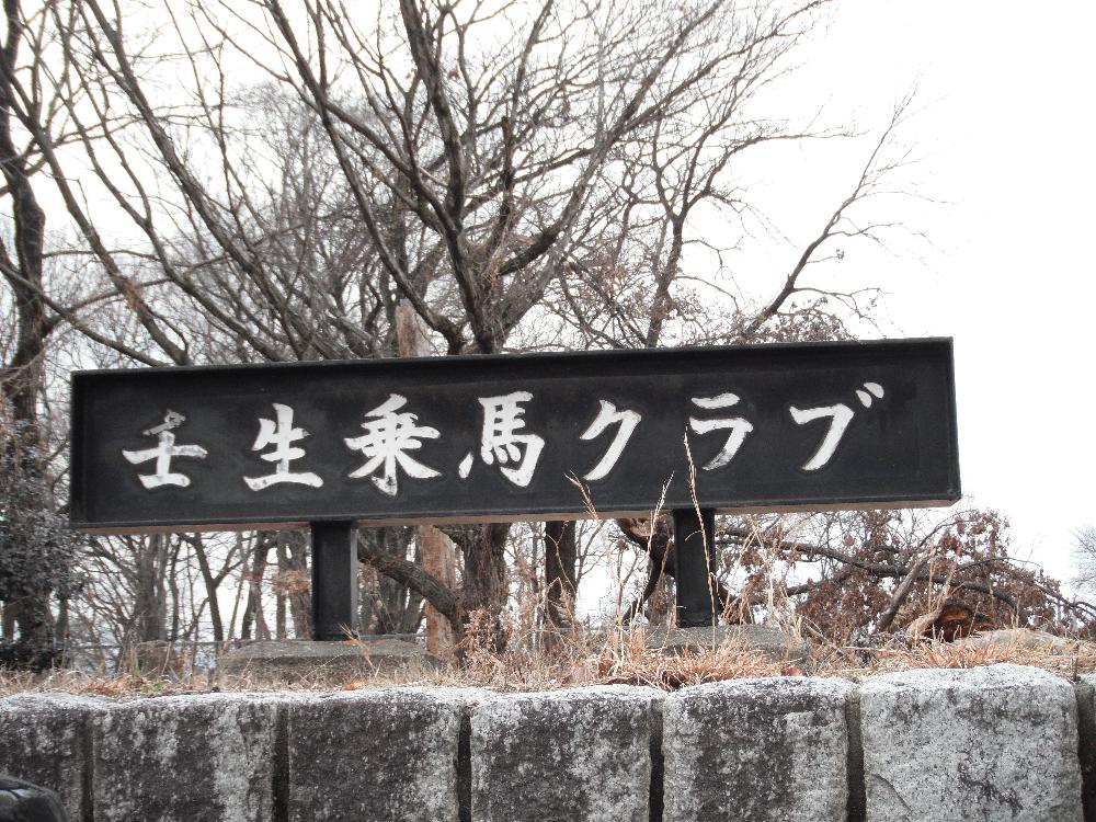 mibujyoubakurabu1.jpg