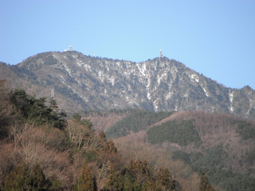 mitsutouge.jpg