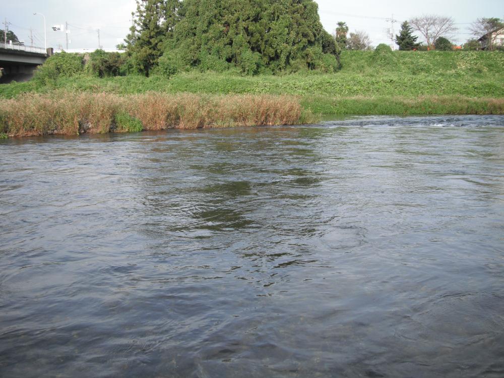 ogurabashi5.jpg