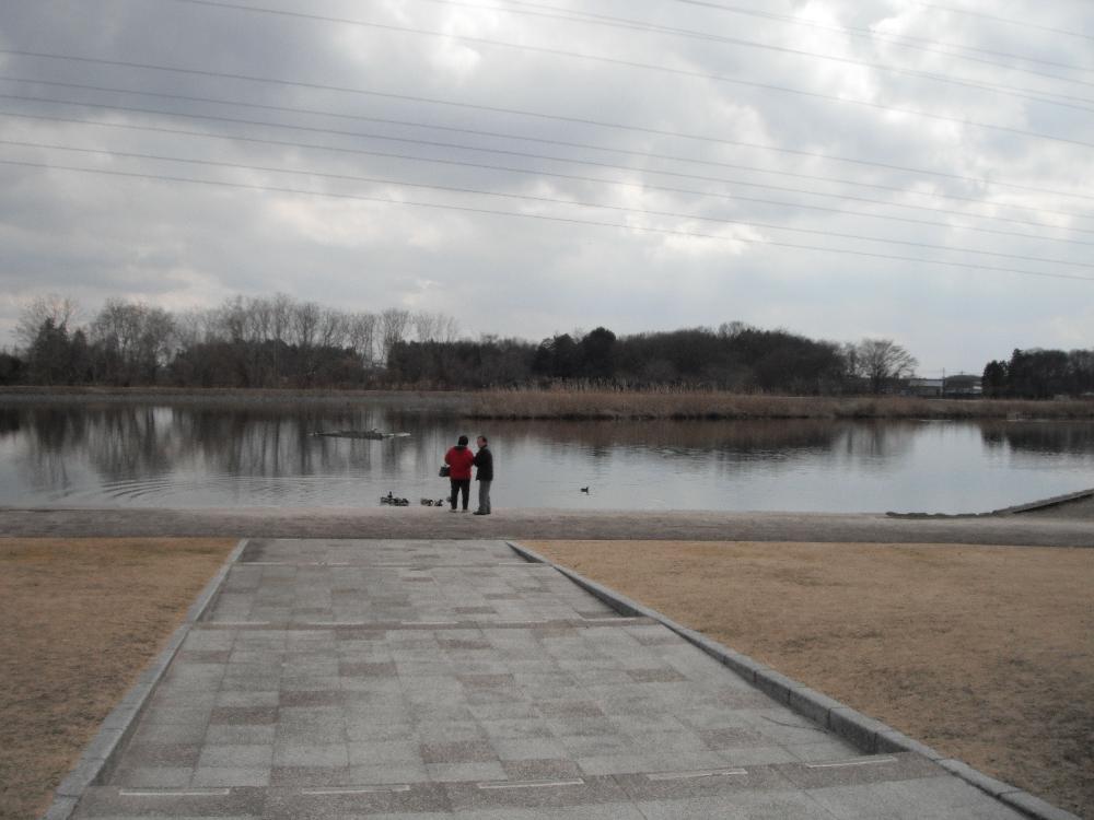 oyamaoonuma1.jpg