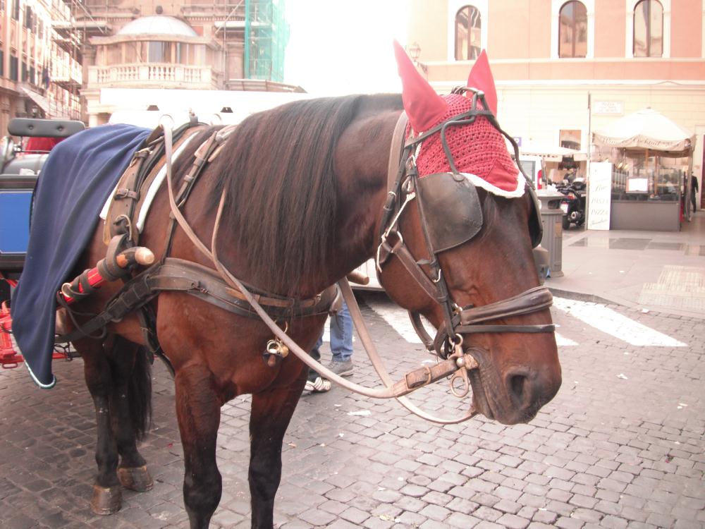 piazzadispagna7.jpg