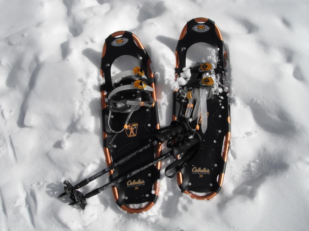 snowshoe.jpg