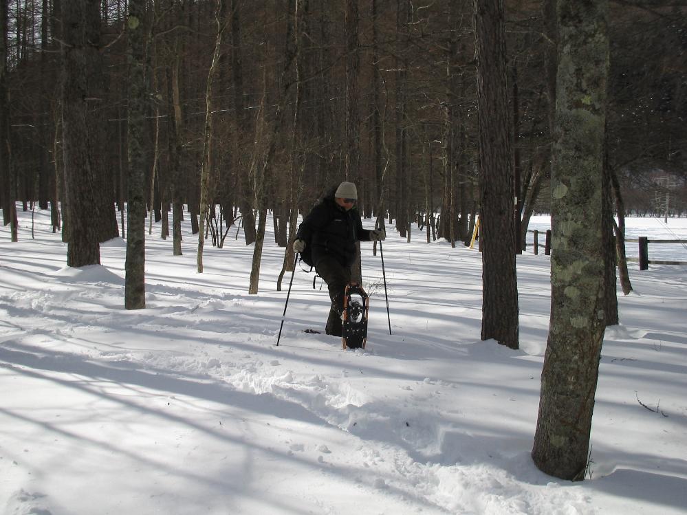snowtrail.jpg