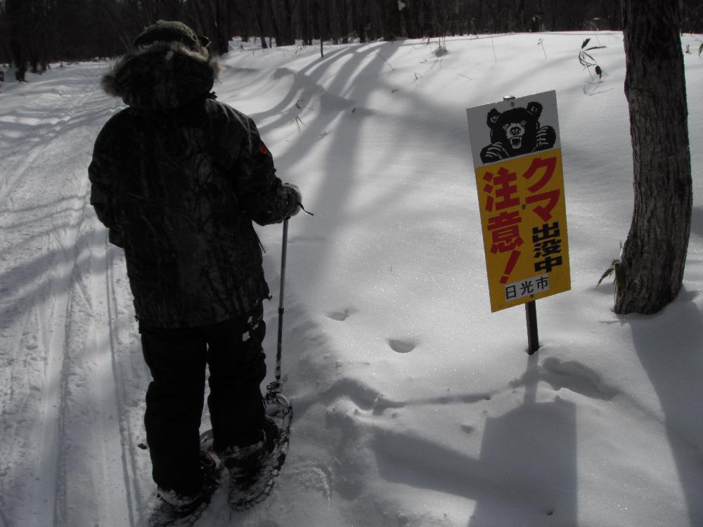 snowtrail4.jpg