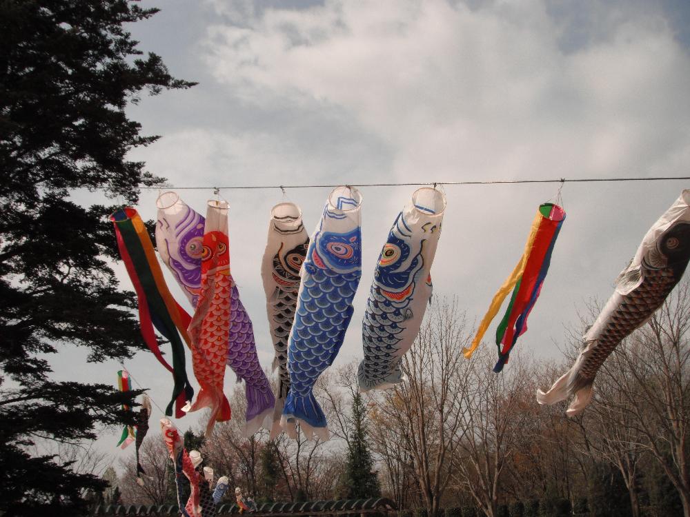 wanpakukouen2.jpg