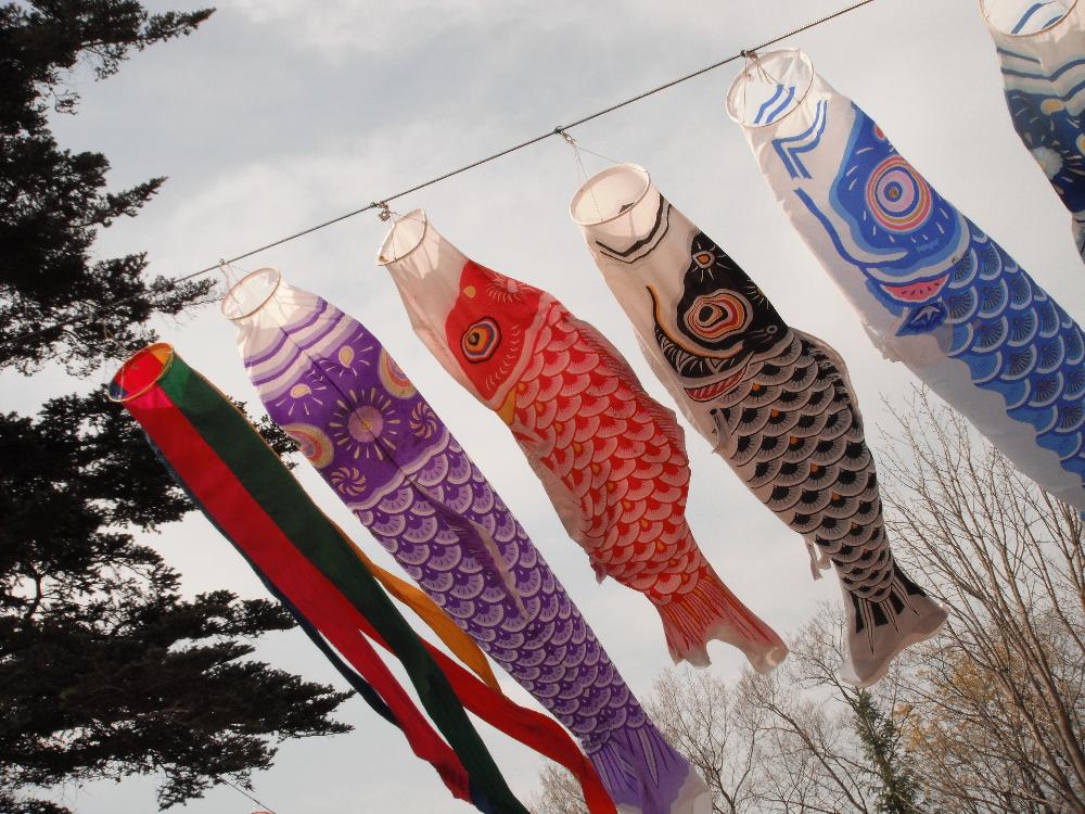 wanpakukouen4.jpg