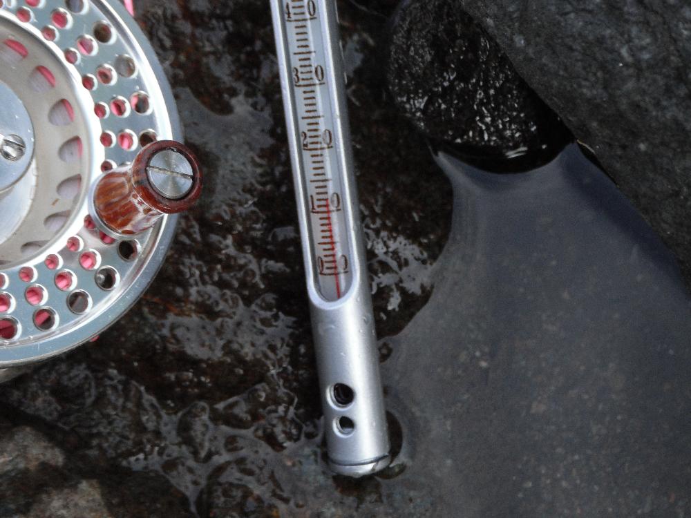 yamameflyfishing2.jpg