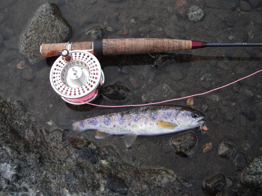yamameflyfishing4.jpg