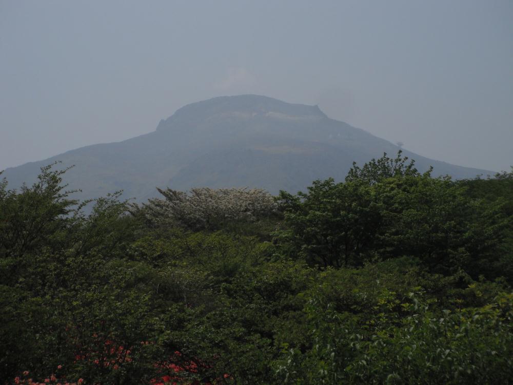 yashiotutuji12.jpg