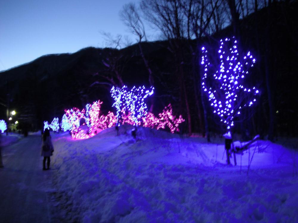 ykm20138.jpg