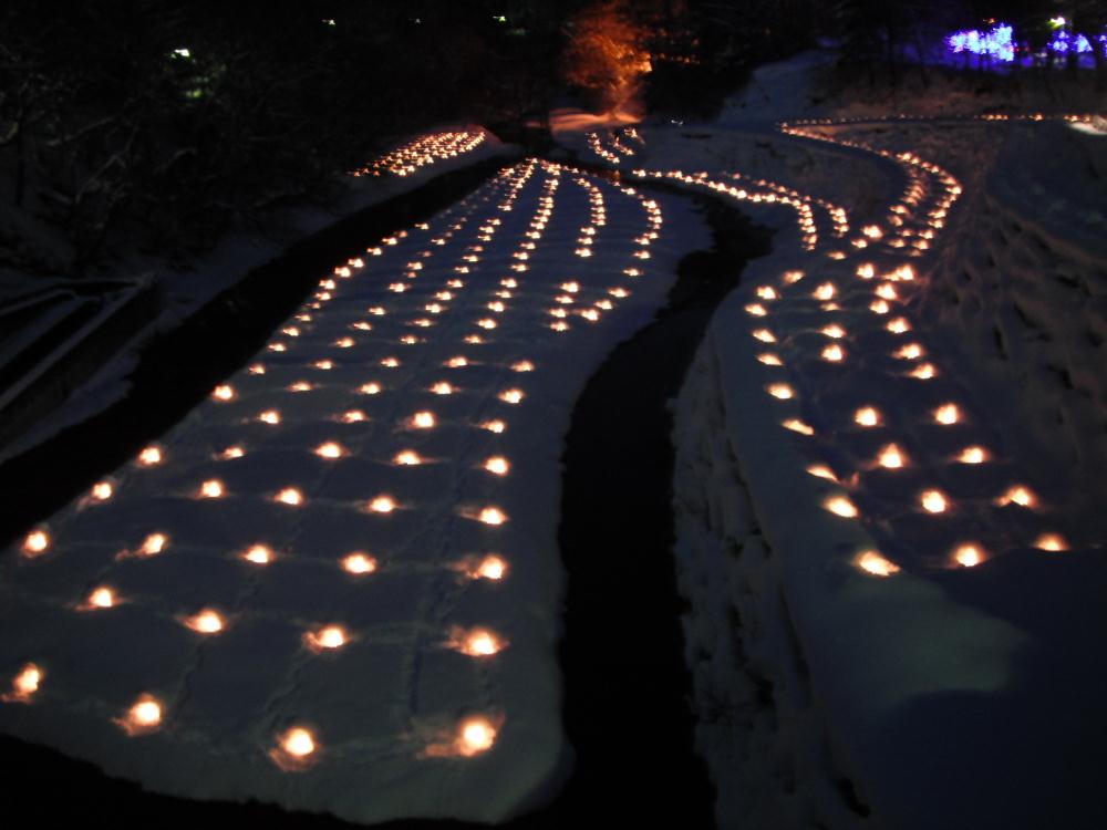 ykm20139.jpg