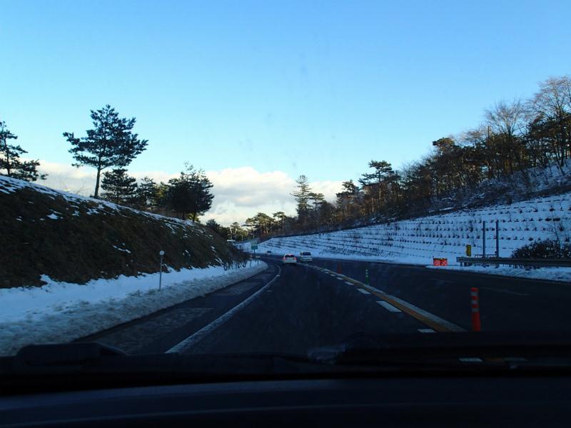 P1110058.jpg