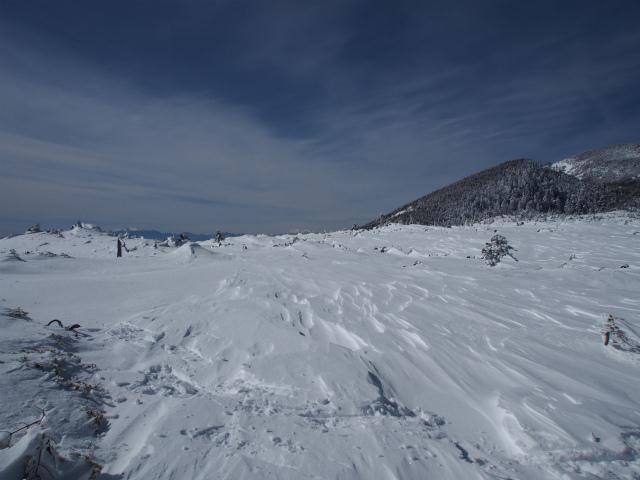 P2090075.jpg