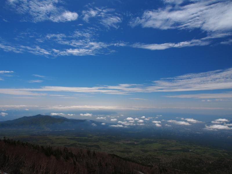 P5190002.jpg