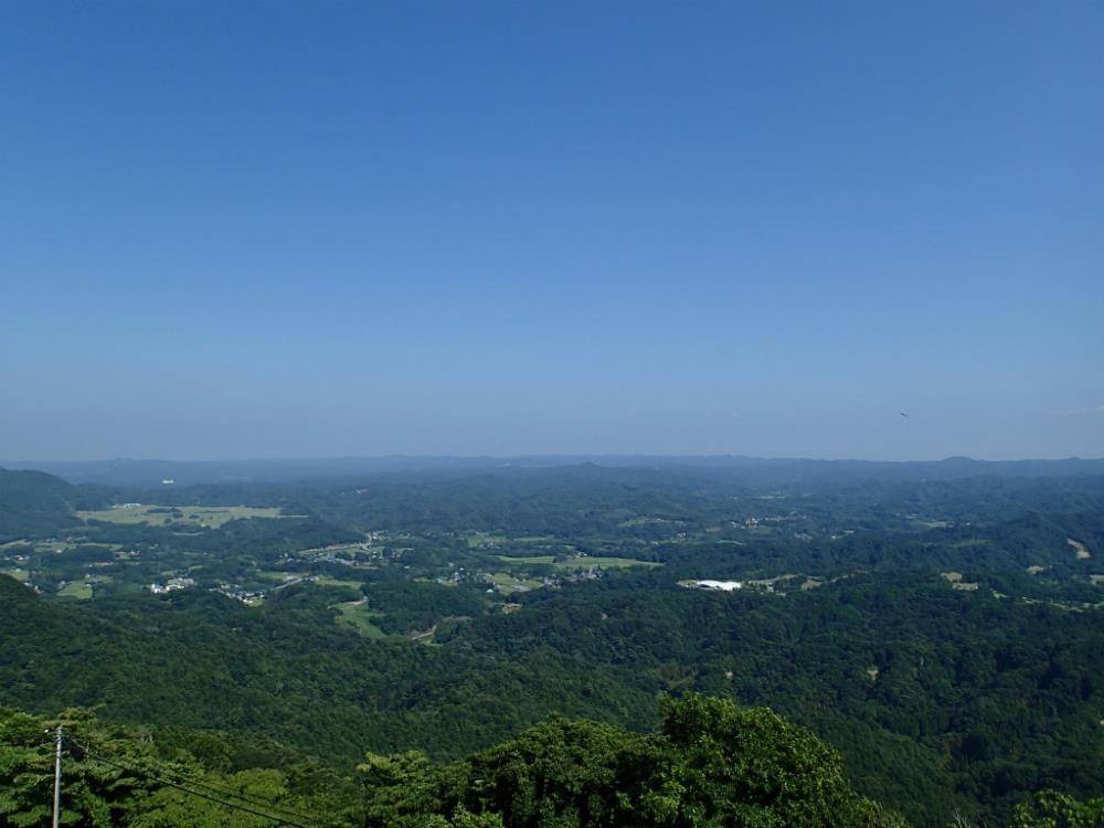P7260120.jpg