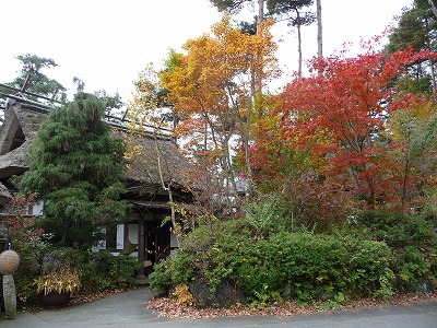 S-P1010158.jpg