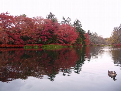 s-P1010228.jpg
