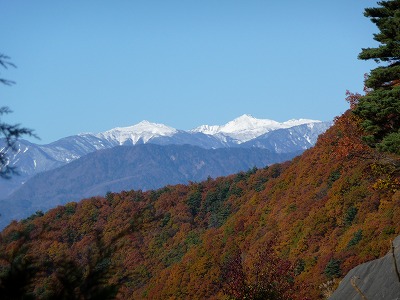 s-P1010559.jpg