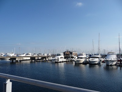 s-P1010955.jpg