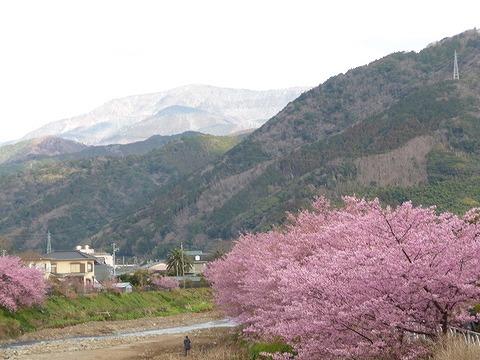 s-P1020489.jpg
