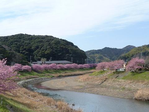 s-P1020573.jpg