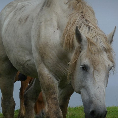 s-P1040431.jpg