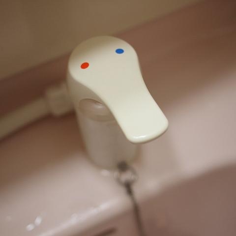 s-P3073404.jpg