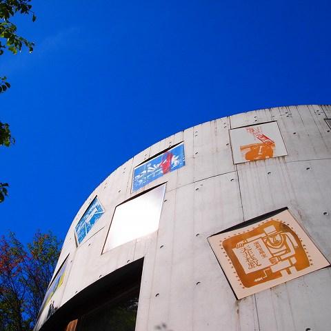 s-P8110481.jpg