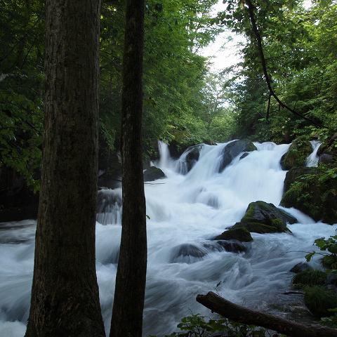 s-P8120540.jpg