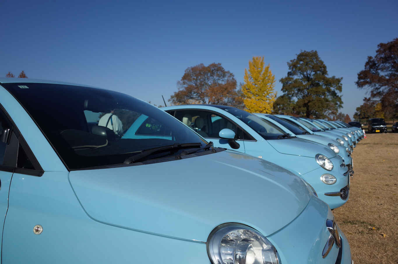 SISM2025-38.jpg