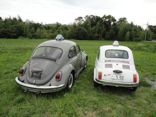 fiat500-4.jpg
