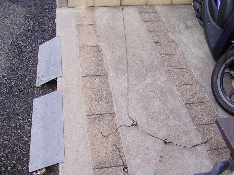 DSCN3389.jpg