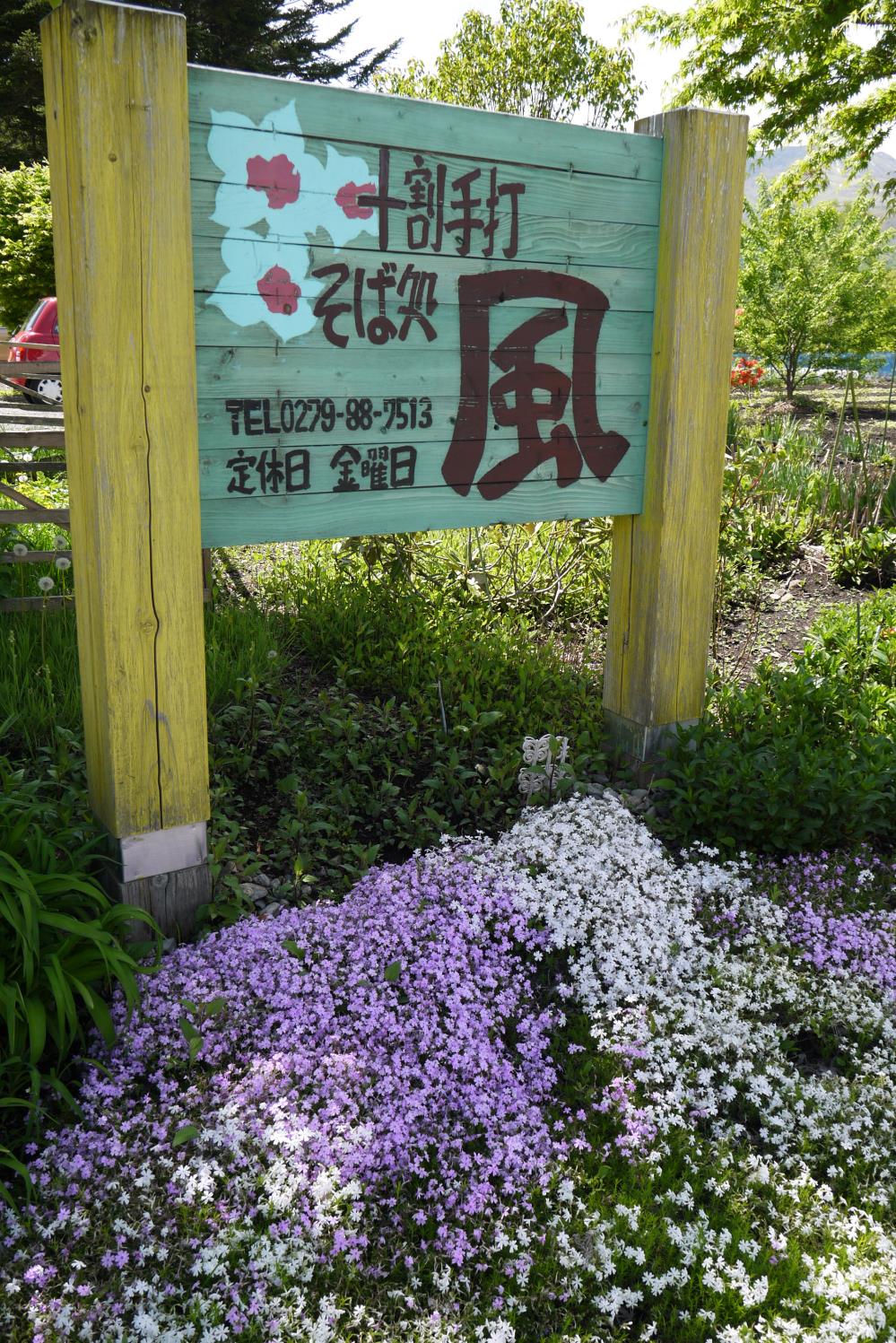 P1170367.jpg