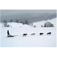 slovakia-982302_960_720.jpg