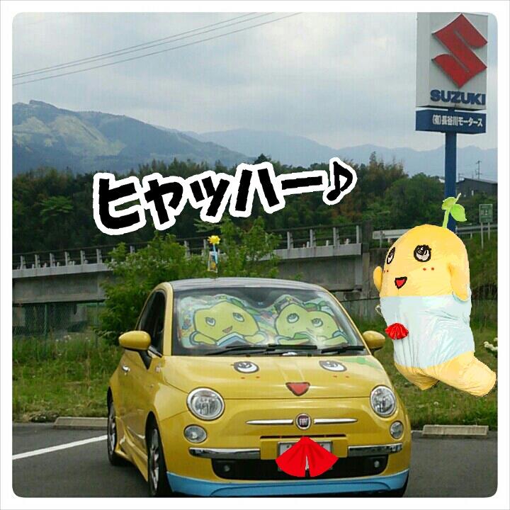20150508_111313_315_2.jpg