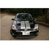 Ford Fiesta ST (ST150)