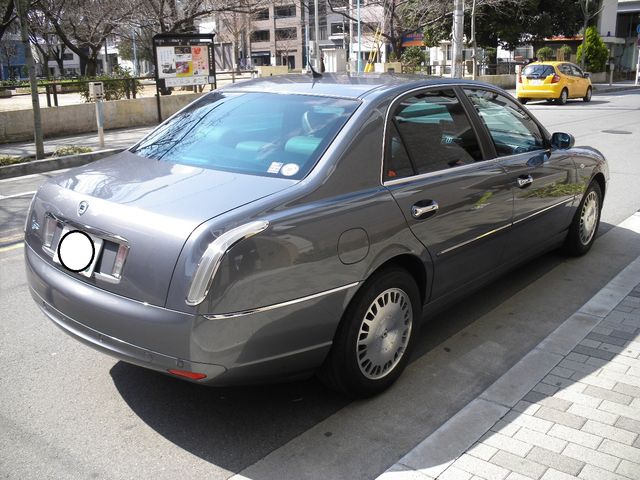 テシス