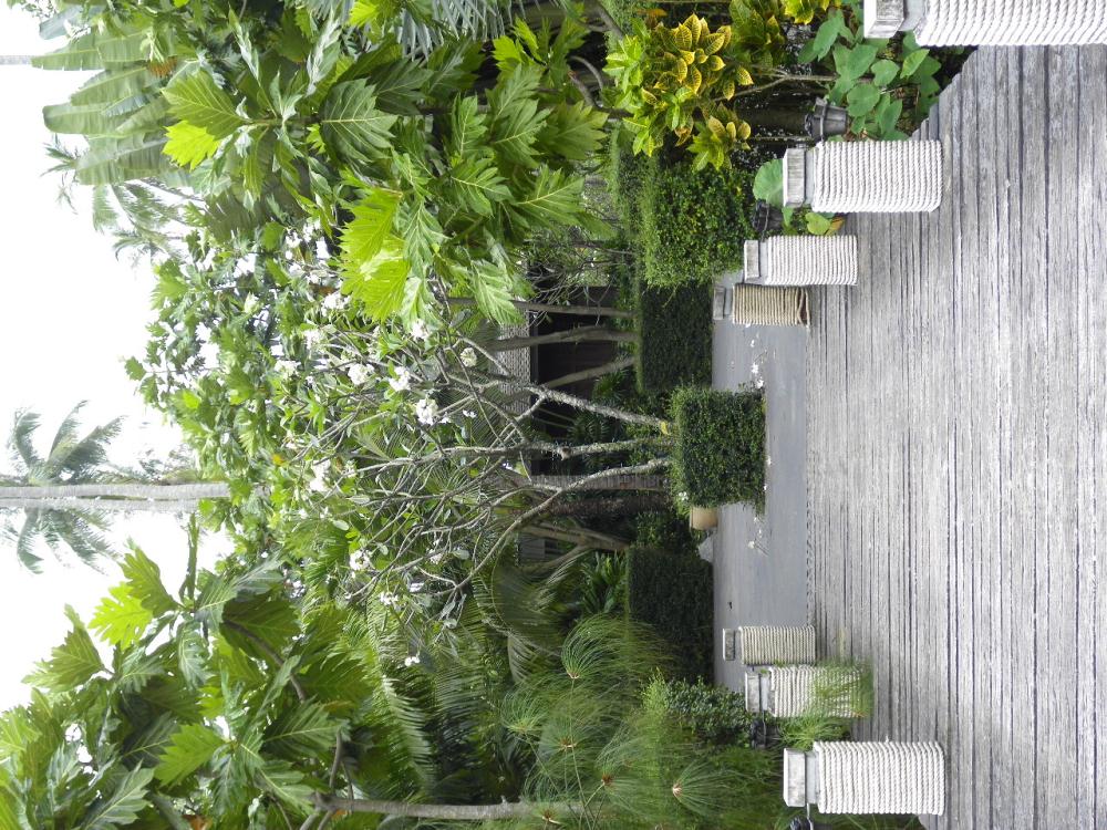 IMG_0325.jpg