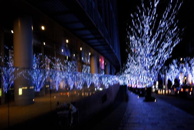 DSC_0072.jpg