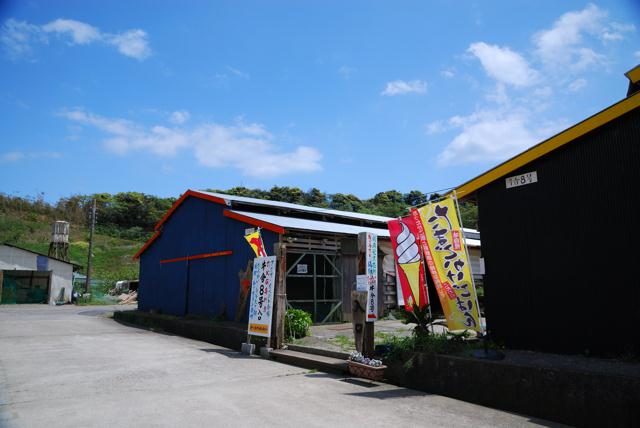 04.jpg
