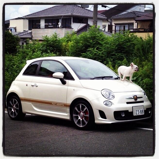 FIAT ABARTH 500