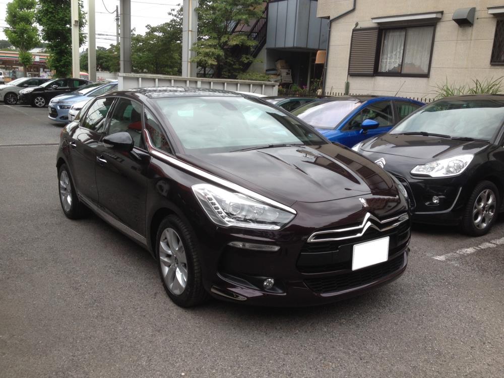 DS5ムラサキ