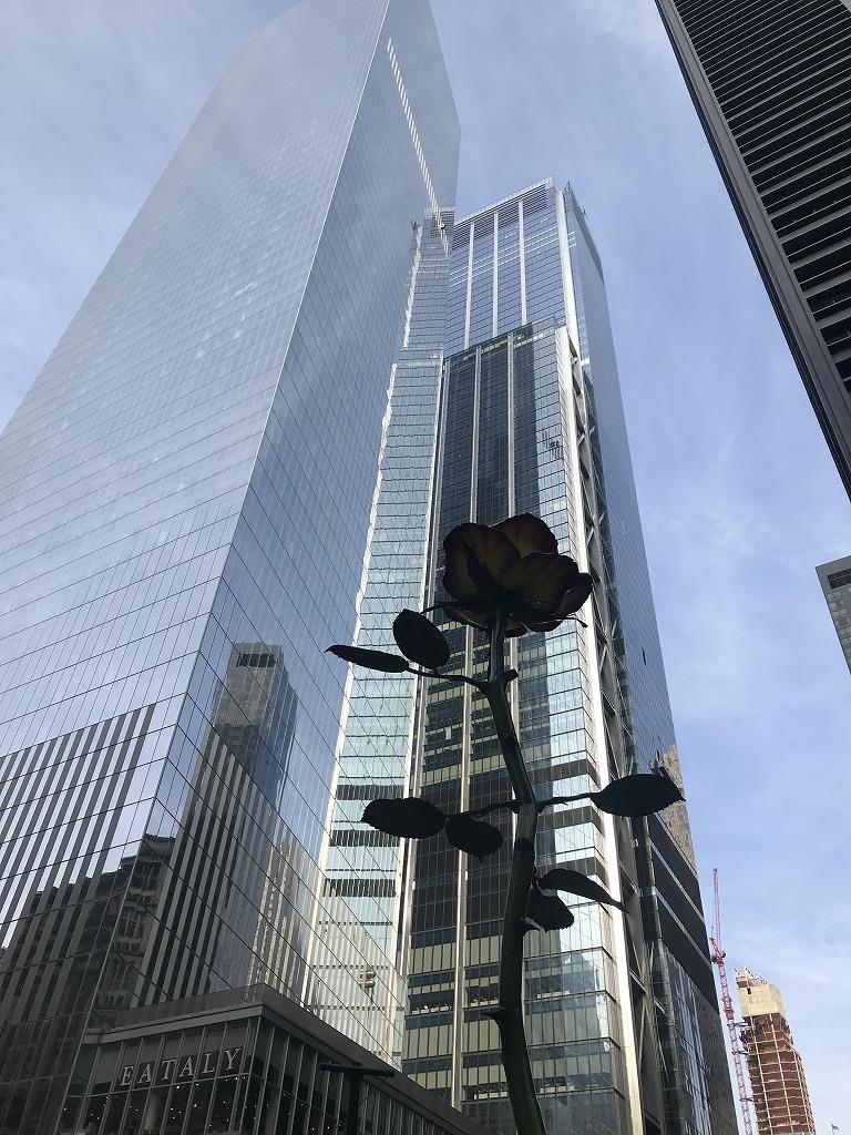 IMG_6849NY.jpg