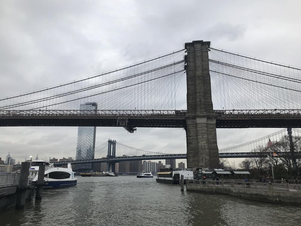 IMG_7015NY.jpg