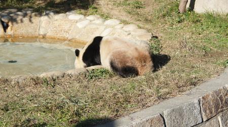 201212032.jpg