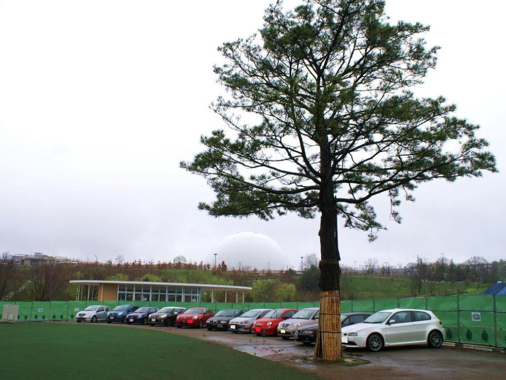 m12.jpg
