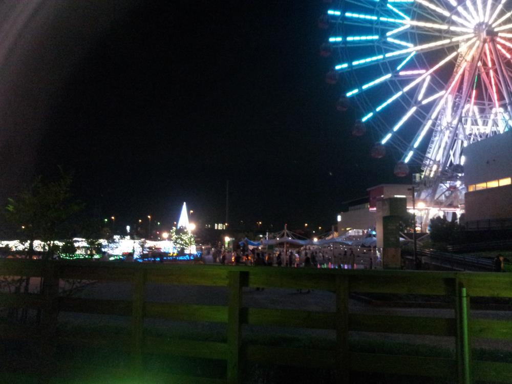 20141013_073835_322_2.jpg