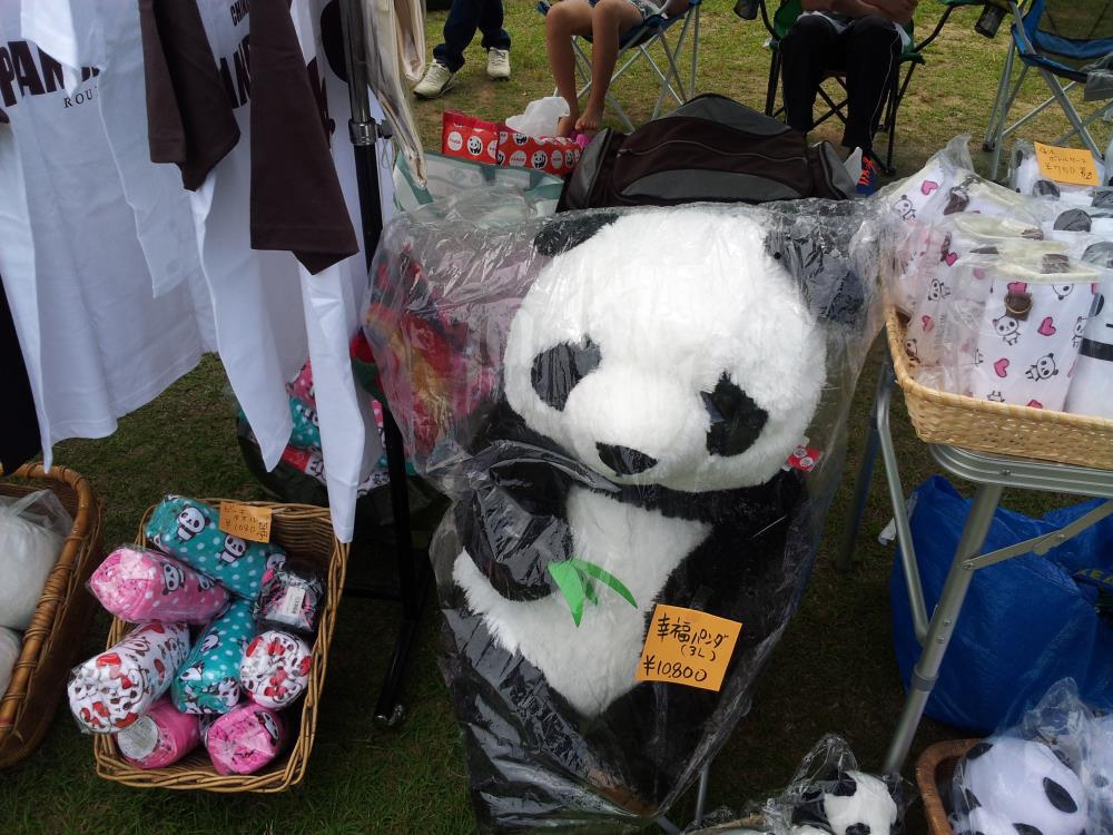 20150526_231220_580_3.jpg