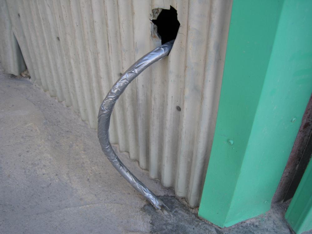 79.jpg